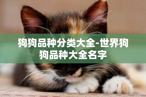 狗狗品種分類大全-世界狗狗品種大全名字