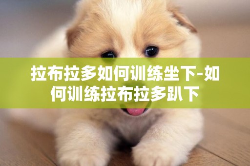 拉布拉多如何訓練坐下-如何訓練拉布拉多趴下