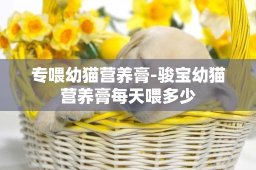 專喂幼貓營養膏-駿寶幼貓營養膏每天喂多少