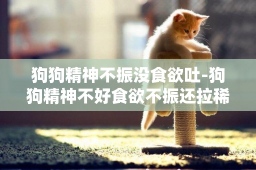 狗狗精神不振沒食欲吐-狗狗精神不好食欲不振還拉稀