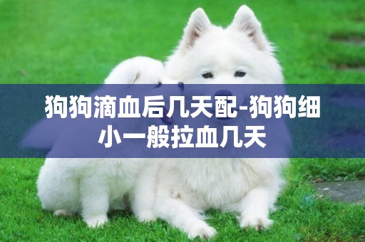 狗狗滴血后幾天配-狗狗細小一般拉血幾天