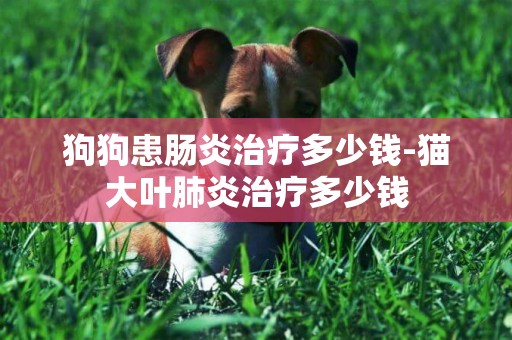狗狗患腸炎治療多少錢-貓大葉肺炎治療多少錢