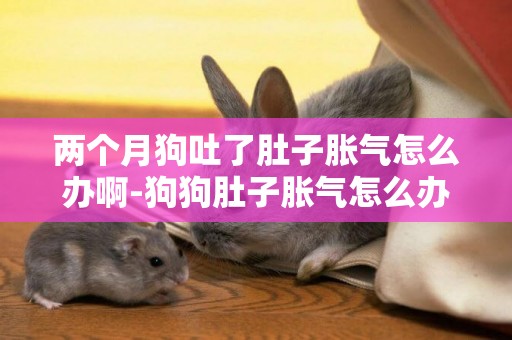 兩個月狗吐了肚子脹氣怎么辦啊-狗狗肚子脹氣怎么辦