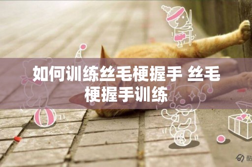 如何訓練絲毛梗握手 絲毛梗握手訓練