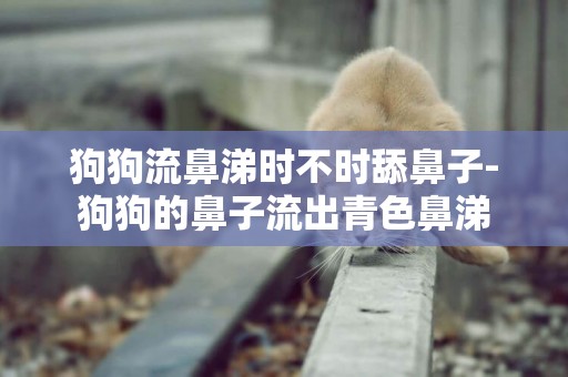 狗狗流鼻涕時不時舔鼻子-狗狗的鼻子流出青色鼻涕