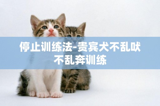 停止訓練法-貴賓犬不亂吠不亂奔訓練