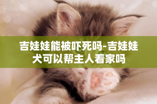 吉娃娃能被嚇死嗎-吉娃娃犬可以幫主人看家嗎