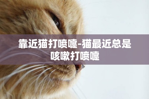 靠近貓打噴嚏-貓最近總是咳嗽打噴嚏
