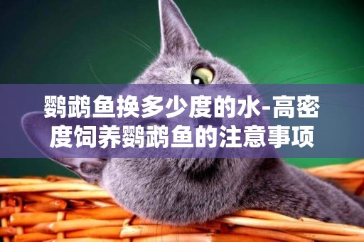 鸚鵡魚換多少度的水-高密度飼養鸚鵡魚的注意事項