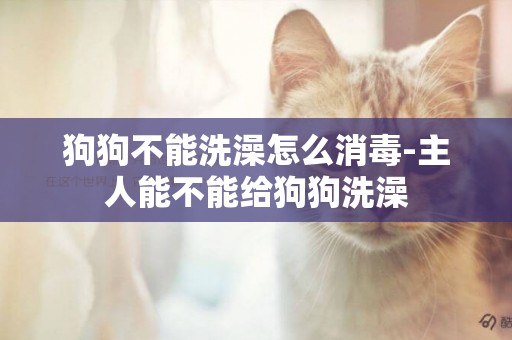 狗狗不能洗澡怎么消毒-主人能不能給狗狗洗澡