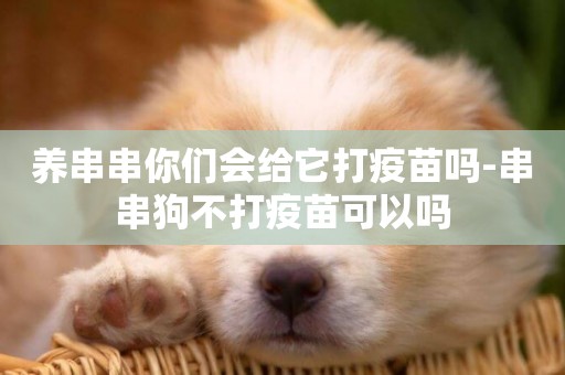 養串串你們會給它打疫苗嗎-串串狗不打疫苗可以嗎