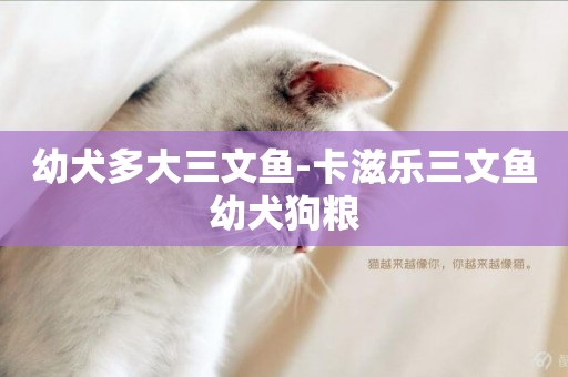 幼犬多大三文魚-卡滋樂三文魚幼犬狗糧