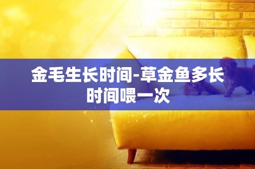 金毛生長時間-草金魚多長時間喂一次