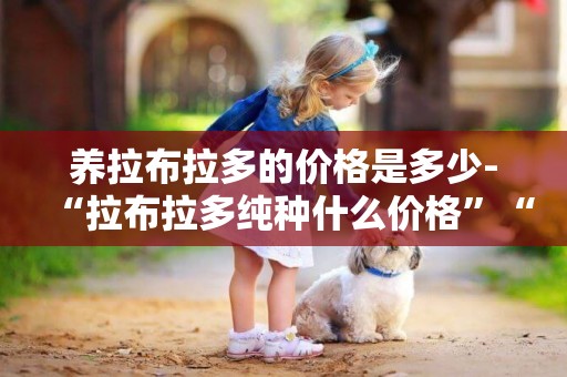 養拉布拉多的價格是多少-“拉布拉多純種什么價格”“賽級拉布拉多”的價格是多少