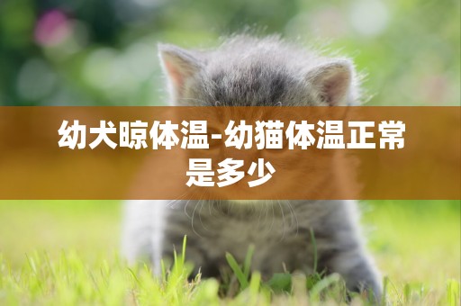 幼犬晾體溫-幼貓體溫正常是多少