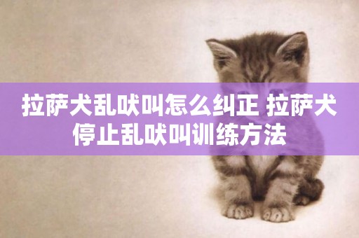 拉薩犬亂吠叫怎么糾正 拉薩犬停止亂吠叫訓練方法