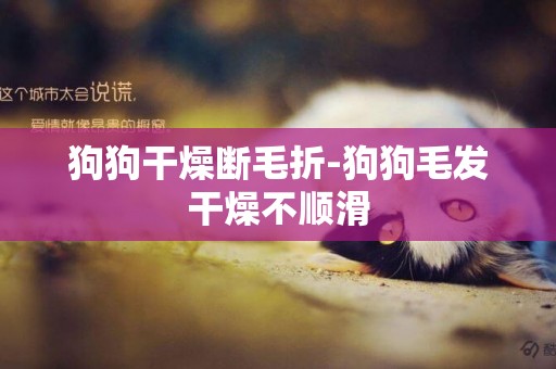 狗狗干燥斷毛折-狗狗毛發干燥不順滑