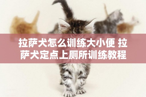 拉薩犬怎么訓練大小便 拉薩犬定點上廁所訓練教程