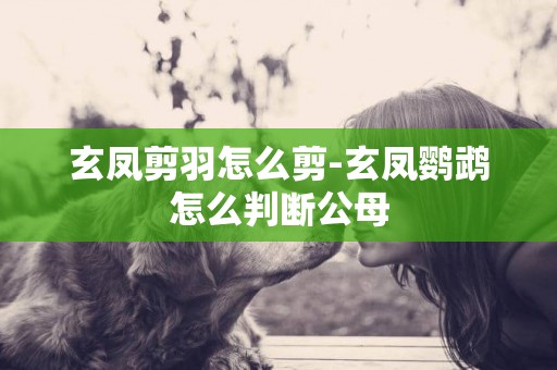 玄鳳剪羽怎么剪-玄鳳鸚鵡怎么判斷公母