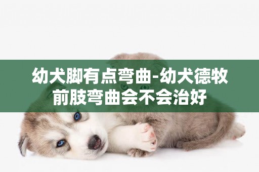 幼犬腳有點彎曲-幼犬德牧前肢彎曲會不會治好