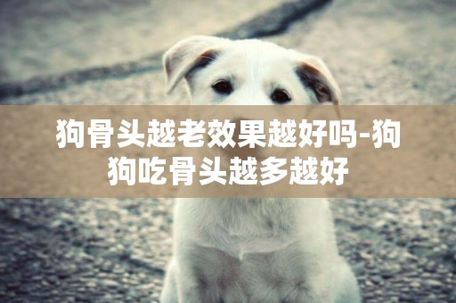 狗骨頭越老效果越好嗎-狗狗吃骨頭越多越好