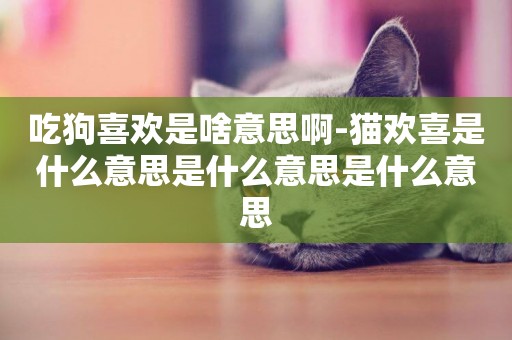 吃狗喜歡是啥意思啊-貓歡喜是什么意思是什么意思是什么意思