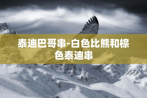 泰迪巴哥串-白色比熊和棕色泰迪串