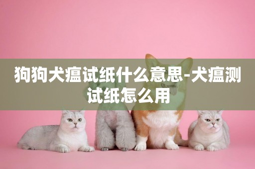 狗狗犬瘟試紙什么意思-犬瘟測試紙怎么用