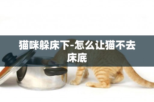 貓咪躲床下-怎么讓貓不去床底