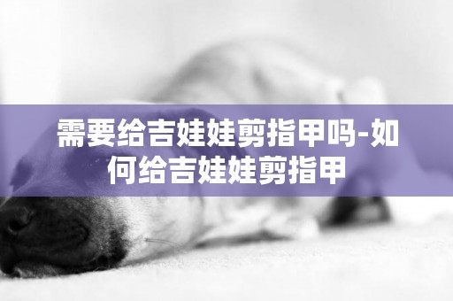 需要給吉娃娃剪指甲嗎-如何給吉娃娃剪指甲