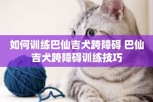 如何訓練巴仙吉犬跨障礙 巴仙吉犬跨障礙訓練技巧