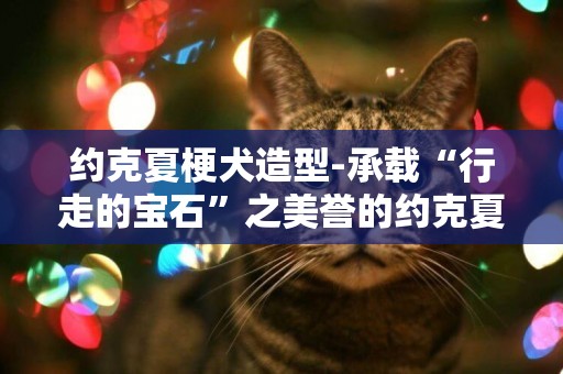 約克夏梗犬造型-承載“行走的寶石”之美譽的約克夏梗犬