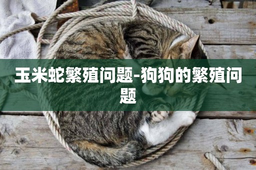 玉米蛇繁殖問題-狗狗的繁殖問題