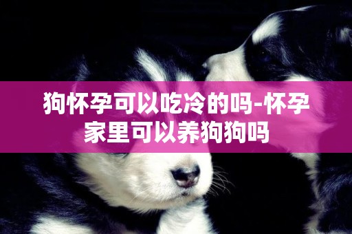 狗懷孕可以吃冷的嗎-懷孕家里可以養狗狗嗎