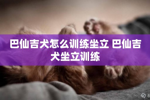 巴仙吉犬怎么訓練坐立 巴仙吉犬坐立訓練