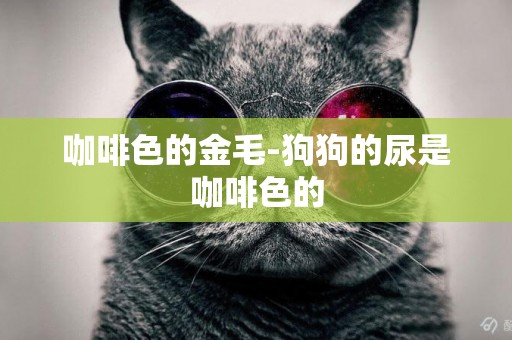 咖啡色的金毛-狗狗的尿是咖啡色的