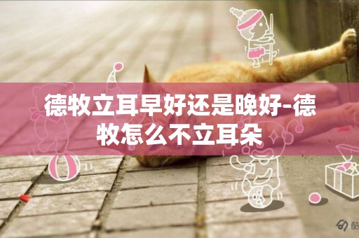 德牧立耳早好還是晚好-德牧怎么不立耳朵