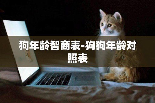 狗年齡智商表-狗狗年齡對照表