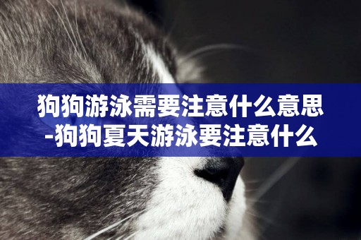 狗狗游泳需要注意什么意思-狗狗夏天游泳要注意什么