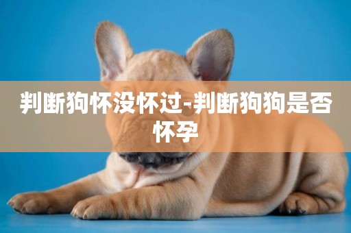 判斷狗懷沒懷過-判斷狗狗是否懷孕