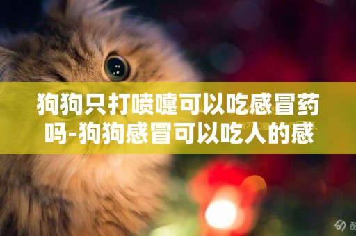 狗狗只打噴嚏可以吃感冒藥嗎-狗狗感冒可以吃人的感冒藥嗎
