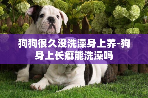 狗狗很久沒洗澡身上養-狗身上長癬能洗澡嗎