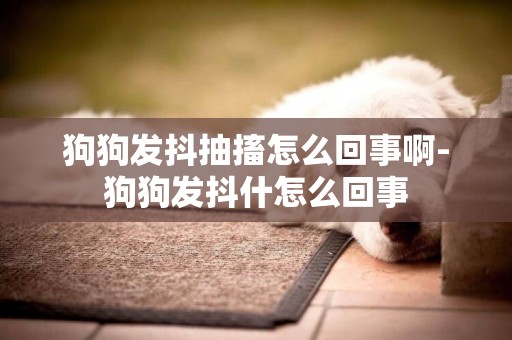 狗狗發抖抽搐怎么回事啊-狗狗發抖什怎么回事