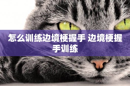 怎么訓練邊境梗握手 邊境梗握手訓練
