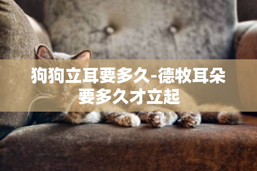 狗狗立耳要多久-德牧耳朵要多久才立起