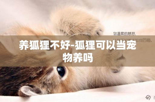 養狐貍不好-狐貍可以當寵物養嗎