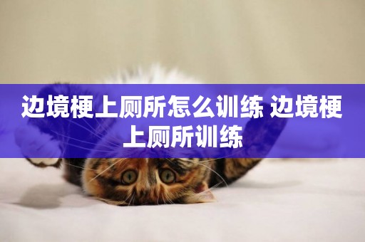 邊境梗上廁所怎么訓練 邊境梗上廁所訓練