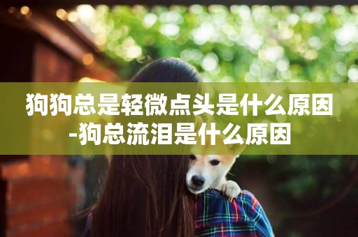 狗狗總是輕微點頭是什么原因-狗總流淚是什么原因