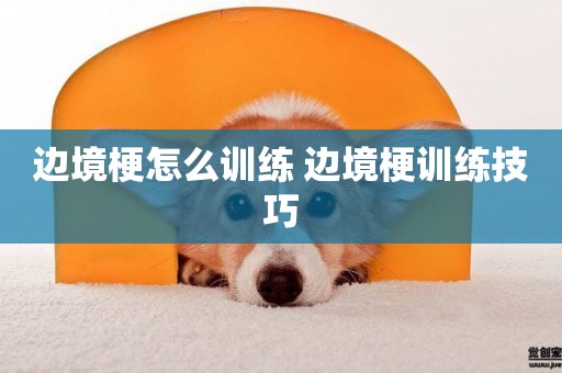 邊境梗怎么訓練 邊境梗訓練技巧