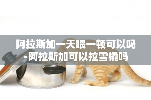 阿拉斯加一天喂一頓可以嗎-阿拉斯加可以拉雪橇嗎